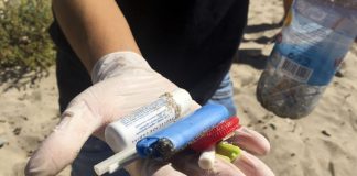 Mais de duas mil toneladas de plástico recolhidas das praias durante o verão