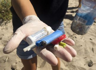 Mais de duas mil toneladas de plástico recolhidas das praias durante o verão
