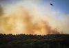 Governo quer ter “meios aéreos próprios” para combate a incêndios