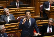 PSD: Leitão Amaro vai apoiar candidatura de Luís Montenegro