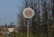 “O Portugal Rural não pode ser o Portugal “Coitadinho””. Manifestação pelo mundo rural marcada para 22 de novembro em Lisboa