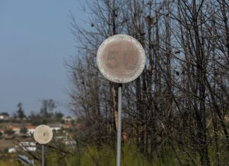 “O Portugal Rural não pode ser o Portugal “Coitadinho””. Manifestação pelo mundo rural marcada para 22 de novembro em Lisboa