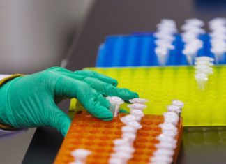 Cientistas portugueses atacam bactéria em tempo recorde em simulacro de surto
