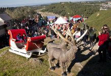 “Com a cabeça na Lua e os pés na Terra”. Vila Natal abre hoje em Óbidos