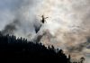 ‘Startup’ de Coimbra desenvolve plataforma para melhorar prevenção de incêndios