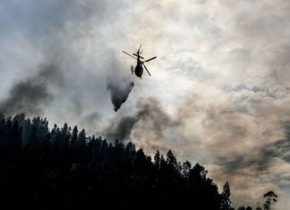 ‘Startup’ de Coimbra desenvolve plataforma para melhorar prevenção de incêndios