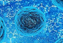 Cientistas descobrem como enfraquecer geneticamente bactérias que causam infeções