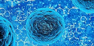 Cientistas descobrem como enfraquecer geneticamente bactérias que causam infeções
