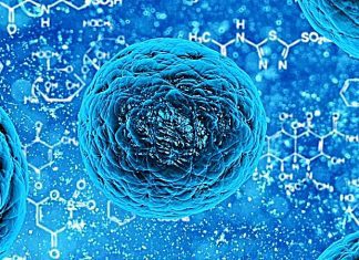 Cientistas descobrem como enfraquecer geneticamente bactérias que causam infeções
