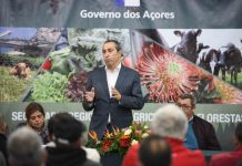 POSEI 2020 – Prémio aos Produtores de Leite incentiva ao aumento da produção leiteira no Faial, Pico e Flores
