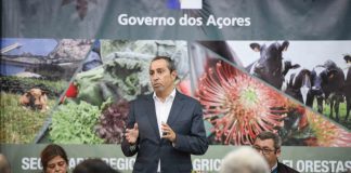 POSEI 2020 – Prémio aos Produtores de Leite incentiva ao aumento da produção leiteira no Faial, Pico e Flores