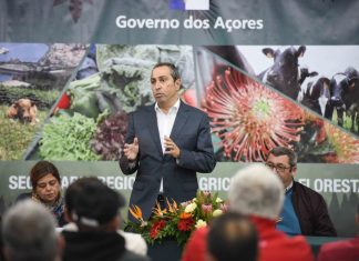 POSEI 2020 – Prémio aos Produtores de Leite incentiva ao aumento da produção leiteira no Faial, Pico e Flores