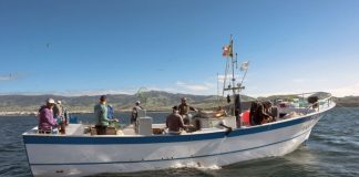 Governo dos Açores cria quotas para espécies demersais e proíbe pesca de rinquim