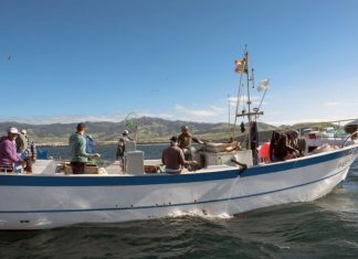 Governo dos Açores cria quotas para espécies demersais e proíbe pesca de rinquim