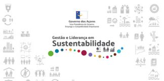 Inscrições para ação de capacitação em Gestão e Liderança para a Sustentabilidade abertas até 19 de dezembro