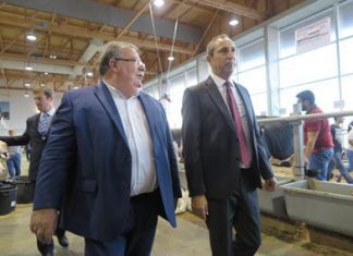 Agricultura nos Açores está hoje melhor preparada para vencer os desafios, afirma João Ponte
