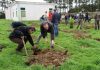 Plantação de árvores endémicas em São Miguel é mais uma evidência do compromisso dos Açores em atingir a neutralidade carbónica, afirma João Ponte