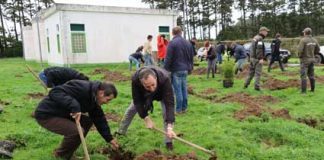 Plantação de árvores endémicas em São Miguel é mais uma evidência do compromisso dos Açores em atingir a neutralidade carbónica, afirma João Ponte