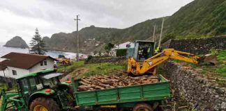 Governo dos Açores implementa projeto piloto para estimular reconversão e reestruturação das vinhas na ilha de Santa Maria