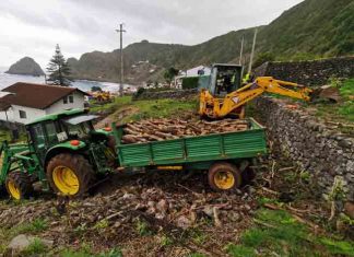 Governo dos Açores implementa projeto piloto para estimular reconversão e reestruturação das vinhas na ilha de Santa Maria