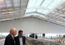 Governo Regional disponível para ser parceiro na realização nos Açores do Campeonato Nacional de Ornitologia em 2020
