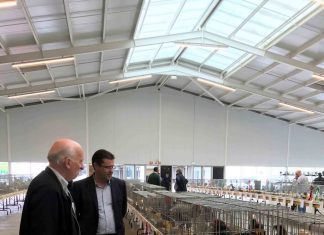 Governo Regional disponível para ser parceiro na realização nos Açores do Campeonato Nacional de Ornitologia em 2020