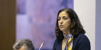 Partido Socialista defende que os Açores devem ter um registo cadastral de toda a Região
