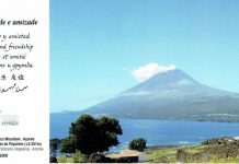 Crise sísmica a oeste do Faial 2019