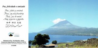 Crise sísmica a oeste do Faial 2019