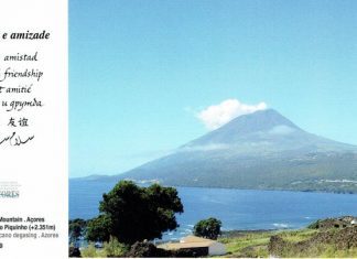 Crise sísmica a oeste do Faial 2019