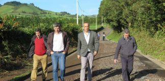 Governo Regional reforçou meios para reparar caminhos agrícolas danificados pelas intempéries das últimas semanas