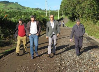 Governo Regional reforçou meios para reparar caminhos agrícolas danificados pelas intempéries das últimas semanas