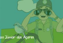 Vigilante da Natureza Júnior dos Açores – Abertas inscrições para o programa de sensibilização e educação ambiental Vigilante da Natureza Júnior dos Açores