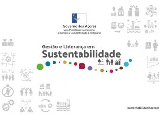 SDEA – Sociedade para o Desenvolvimento Empresarial dos Açores – Governo promove ação de capacitação empresarial em Gestão e Liderança para a Sustentabilidade Gestao de Sustentabilidade