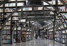 Governo investe 443 mil euros em 40 bibliotecas de norte a sul do país