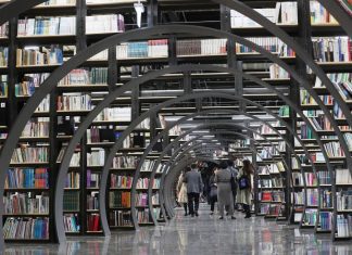 Governo investe 443 mil euros em 40 bibliotecas de norte a sul do país