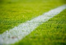FC Porto procura reaproximar-se do Benfica. Sporting de olhos postos no terceiro lugar