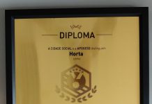 Galardão – Município da Horta reconhecido como “Amigo do Desporto”