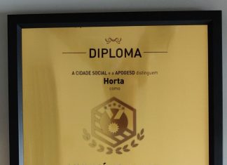 Galardão – Município da Horta reconhecido como “Amigo do Desporto”