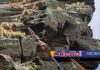 Etapa açoriana do Red Bull Cliff Diving regressa em 6 de setembro ao ilhéu de Vila Franca