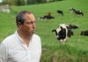 Produção Agrícola – Governo apela à valorização da agricultura regional