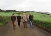 Governo do Açores está a reparar caminhos agrícolas nos Arrifes danificados pelas chuvas de dezembro