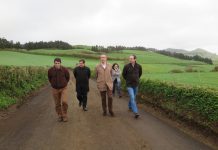 Governo do Açores está a reparar caminhos agrícolas nos Arrifes danificados pelas chuvas de dezembro