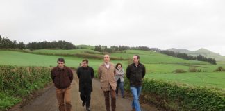 Governo do Açores está a reparar caminhos agrícolas nos Arrifes danificados pelas chuvas de dezembro