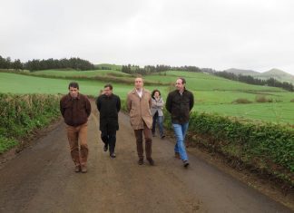 Governo do Açores está a reparar caminhos agrícolas nos Arrifes danificados pelas chuvas de dezembro