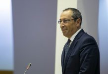 Governo dos Açores cria plataforma SOS Animal para denúncia de maus tratos