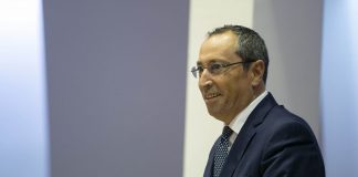 Governo dos Açores cria plataforma SOS Animal para denúncia de maus tratos