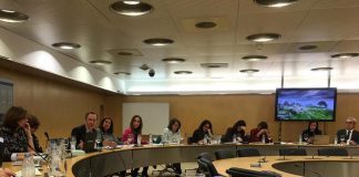Governo dos Açores participa em reflexão sobre os desafios da Cooperação Territorial Europeia 2021-2027