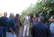 Governo dos Açores vai investir 4,5 ME em infraestruturas agrícolas em 2020 na ilha de São Miguel, afirma João Ponte