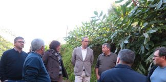 Governo dos Açores vai investir 4,5 ME em infraestruturas agrícolas em 2020 na ilha de São Miguel, afirma João Ponte